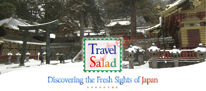 地胆带路日本游