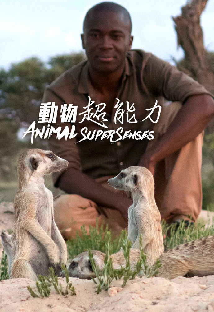 动物超能力