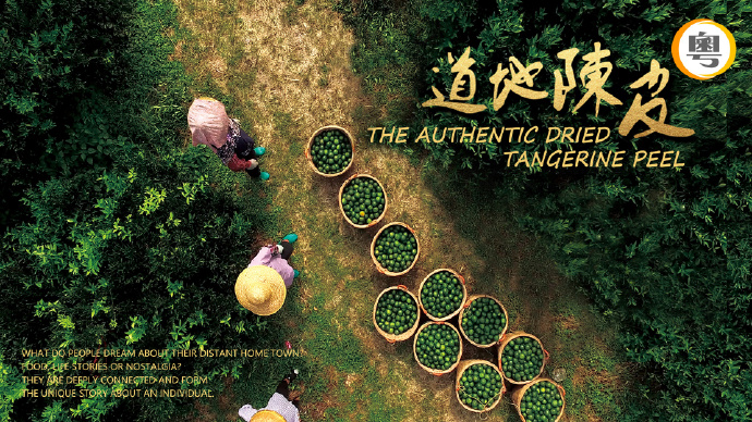 道地陈皮