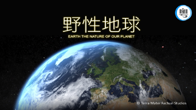 野性地球