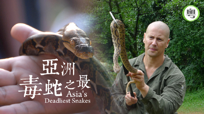 亚洲毒蛇之最